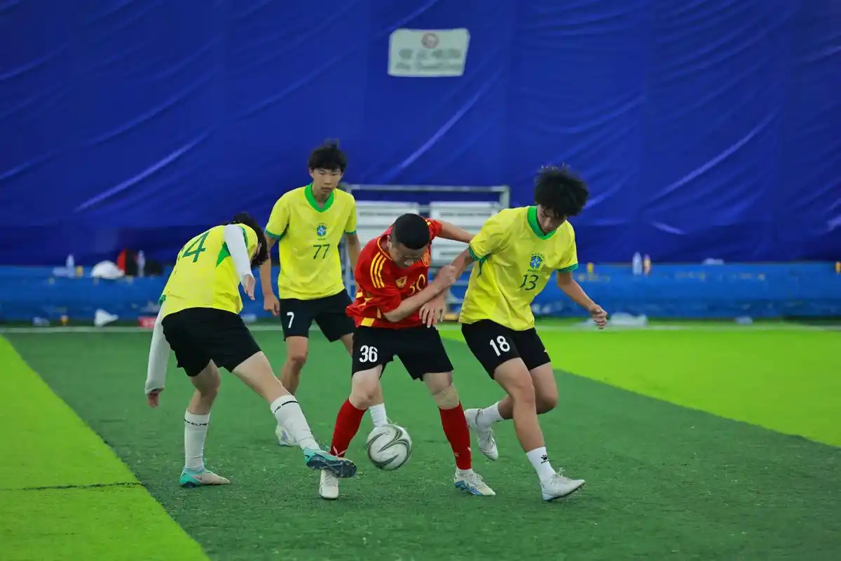 雨燕直播免费观看